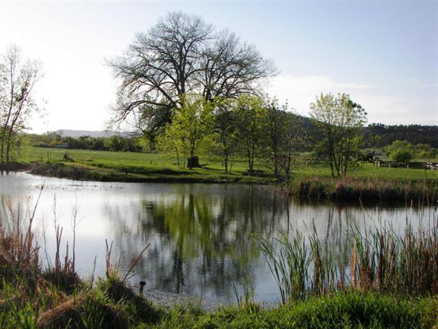 Elk Creek Resort Piedmont المظهر الخارجي الصورة